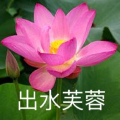 机动都市阿尔法虫虫助手版下载